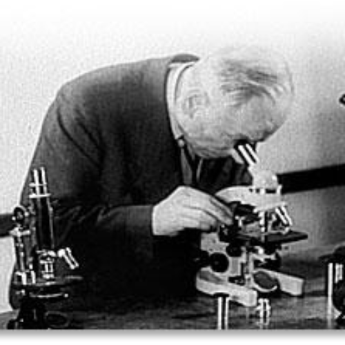feb 27, 1932 - Phase Contrast Microscope (Timeline)