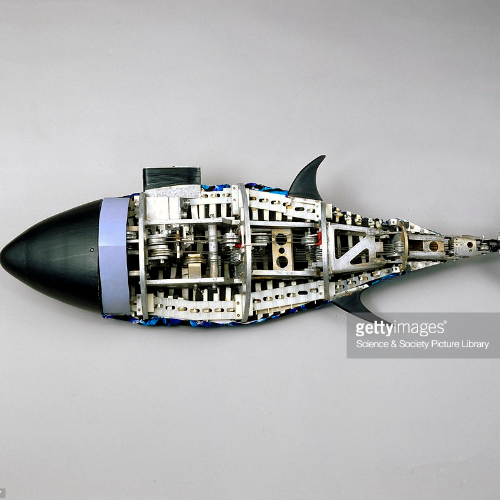 Resultado de imagen para robotuna