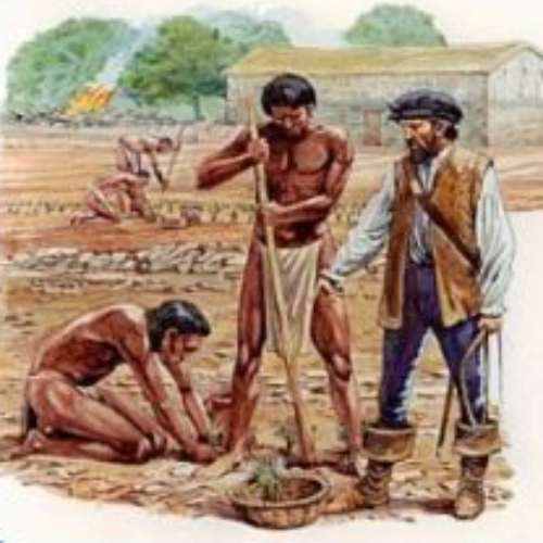 jan 8, 1534 Primer Periodo Implantación del Orden Colonial (1534