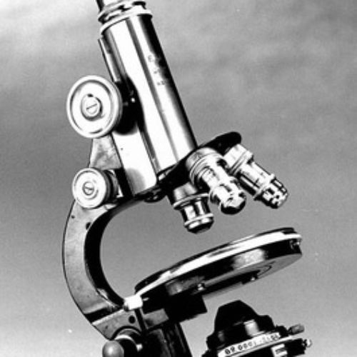 1886 Modern Compound Light Microscope (jan 1, 1886 – dec 1, 1886) (Timeline)